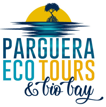Parguera Eco Tours & Bio Bay